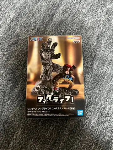 원피스 피그라이프! 키드