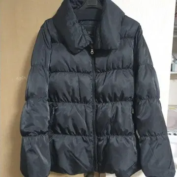 레이 리시 다운