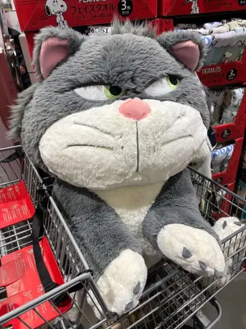 12/15 한정판 가격 인하 선착순 루시퍼 코스트코 봉제 인형