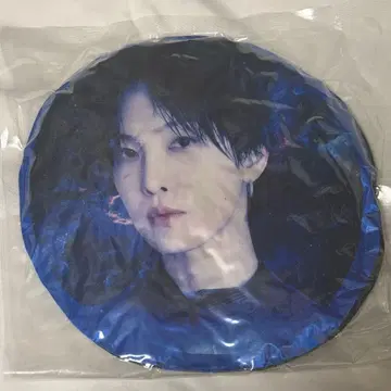 호리 나츠키 쿠션