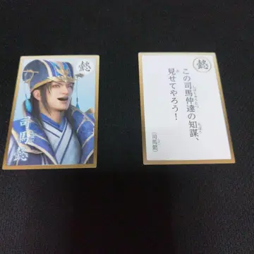 삼국무쌍 8 영걸 카르타 사마의