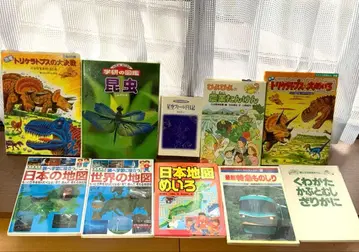 아동서 초등학생 중학생 지도, 도감, 자연, 곤충, 10권 세트