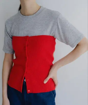 파스테립 ( 파세리 ) 뷔스티에