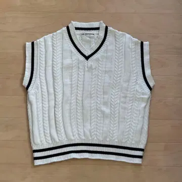 THE SHINZONE 케이블 니트 베스트