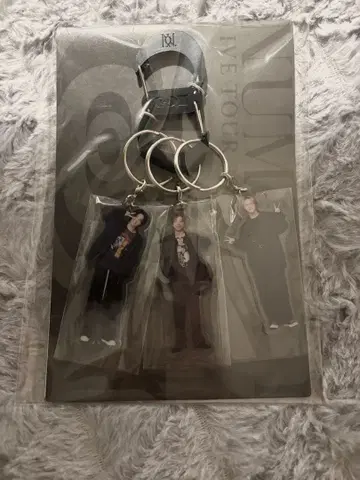 Number_i 2024 카라나비 키링