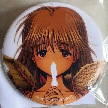 안녕을 알려줘 혜택 매트 캔뱃지 스가모 무츠키 천사