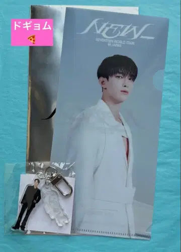 SEVENTEEN NEW 라이브 뷰잉 특전 클리어 파일 도겸