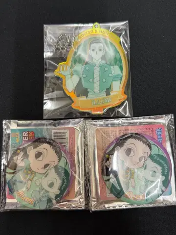 HUNTER x HUNTER 이르미 조르딕 아크릴 스탠드 캔 배지