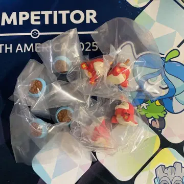 포켓몬 모두 함께 피크닉 마스코트 2 뜨아거(호게타) 4개 세트