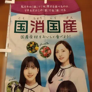 노보리바타 노기자카46 일본산 식재료 중고품