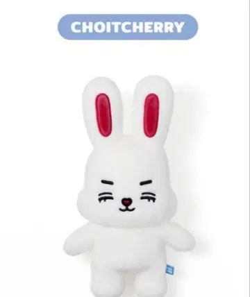 miniteen 미니틴 세븐틴 에스쿱스 체체리