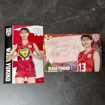 여자 배구 NEC 레드 로케츠 가와사키 와다 유키코 브로마이드