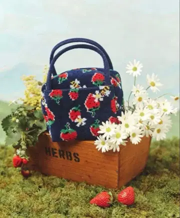 페이러 뮤베일 스트로베리 세레나데 미니 보스턴 완판템