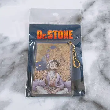 Dr.STONE 글리터 키링 아사기리 겐