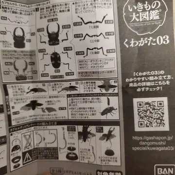 생물대도감 장수풍뎅이03 캡슐 토이