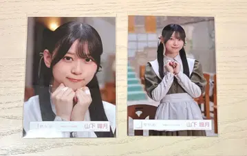 본질적인 것 야마시타 시즈키로부터, 중 2장 세트