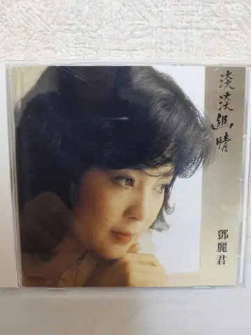 담담유정 테레사 텐