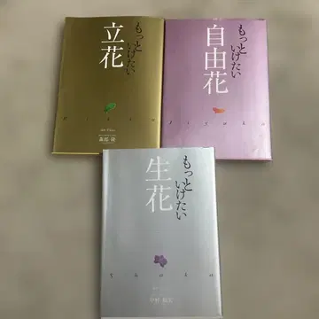 못토이케타치바나 생화 자유화 일본화도사