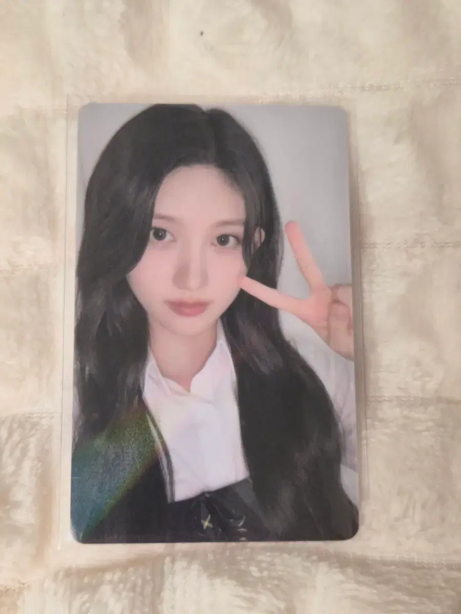 파파존스 포토카드(가을)