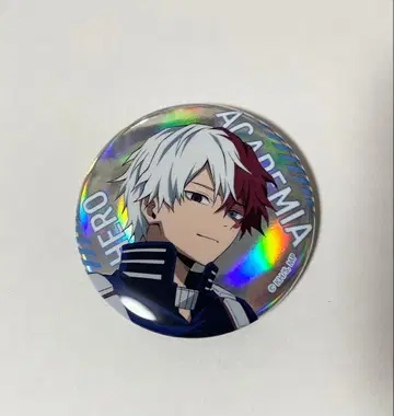 히로아카 토도로키 쇼토 캔뱃지