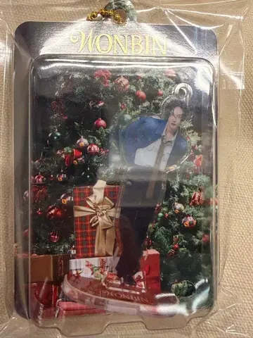 WONBIN 아크릴 키링 popup