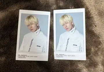 램페 카우 네이비 스티커 카드 하세가와 마코토