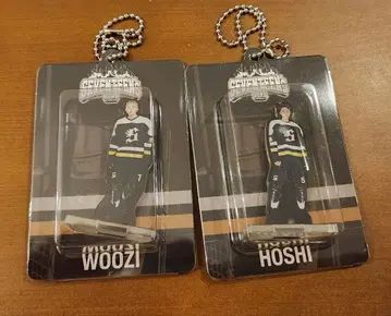 SEVENTEEN's HOME 호시 우지