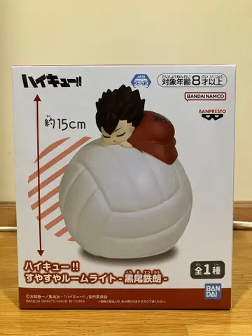 하이큐!! 룸 라이트 쿠로오 테츠로