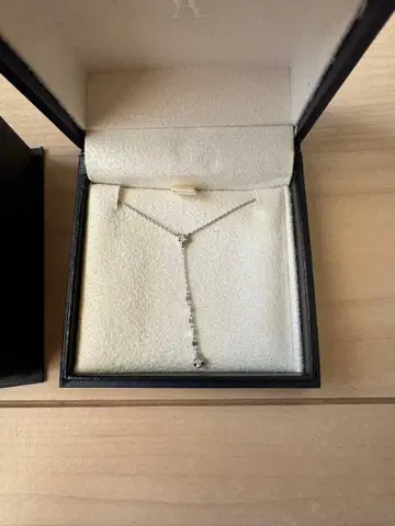 반돔 아오야마 플라티나 롱 목걸이