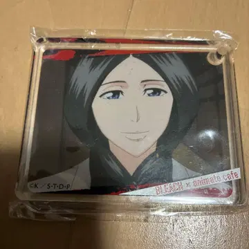 BLEACH 코롯타 아크릴 플레이트 우노하나 레츠