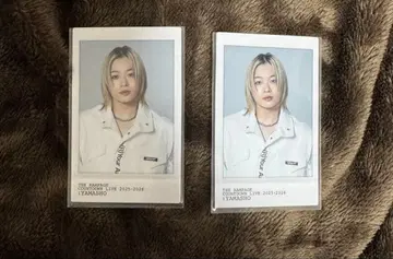 란페 카우 네이비 스티커 카드 야마모토 쇼고