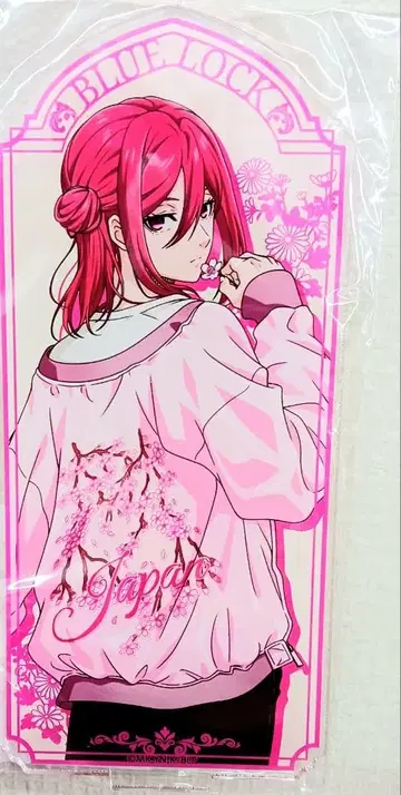 블루 록 치기리 효마 스카잔 아크릴 오브제