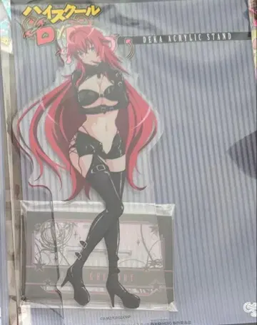 하이스쿨 D x HERO 빅 아크릴 스탠드 리아스 아크릴 스탠드