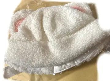 straykids SKZOO 지니레트 현진 보아캡