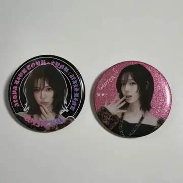 aespa 윈터 랜덤토이 캔뱃지