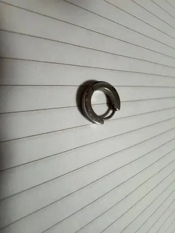 라이온 하트 반지 귀걸이