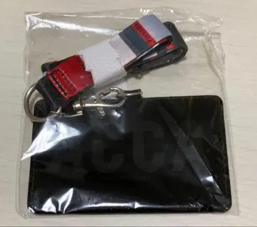 ACCA13구 감찰과 넥스트랩