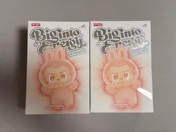 [정품 미개봉] Labubu Big into Energy 2상자 라부부