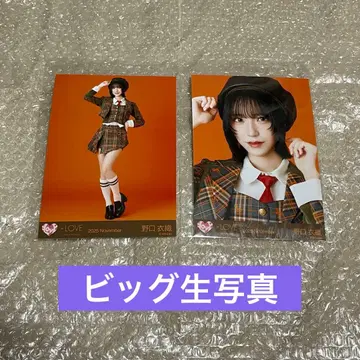 =LOVE 이코러브 노구치 이오리 빅 브로마이드 러브송에 습격당하다