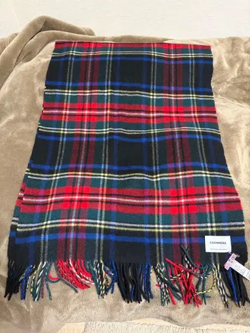 유나이티드 애로우즈 구매 타탄 체크 패턴 캐시미어 머플러 클리닝 완료