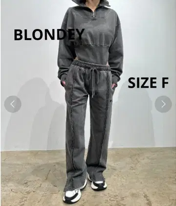 BLONDEY 피그먼트 바디 수트 상의만 SIZE F