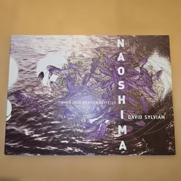 DAVID SYLVIAN When Loud Weather Buffeted