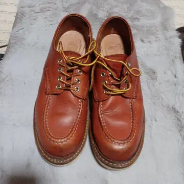 레드윙 옥스퍼드 8103 71/2 홍차 레어