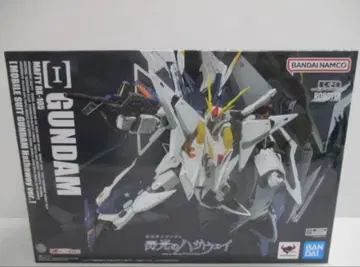 ROBOT혼 크시 건담 기동전사 건담 섬광의 하사웨이 Ver.
