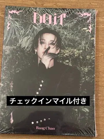 stray kids DOIT 방찬 아코디언 ver. 마일 포함