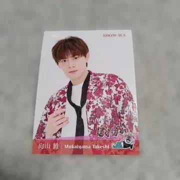 SHOW-WA 무카이야마 타케시 포카포카 스티커