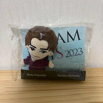 와타나베 쇼타 DreamBoys 드림보이즈 봉제 인형