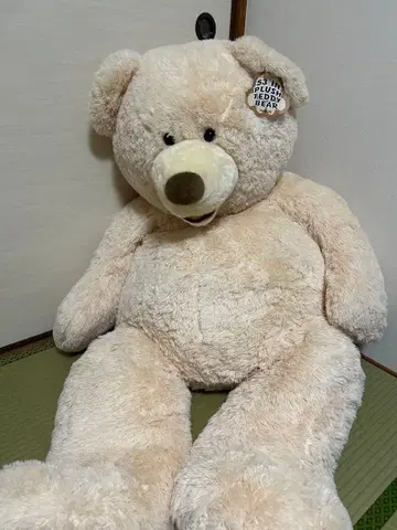 코스트코 곰 봉제 인형 53인치