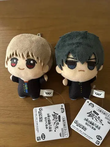 3년 Z반 긴파치 선생님 SD 인형 오키타 소고 히지카타 토시로