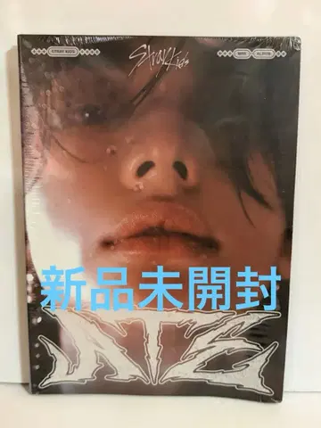 [ 미사용 새상품 ] straykids ATE 현진